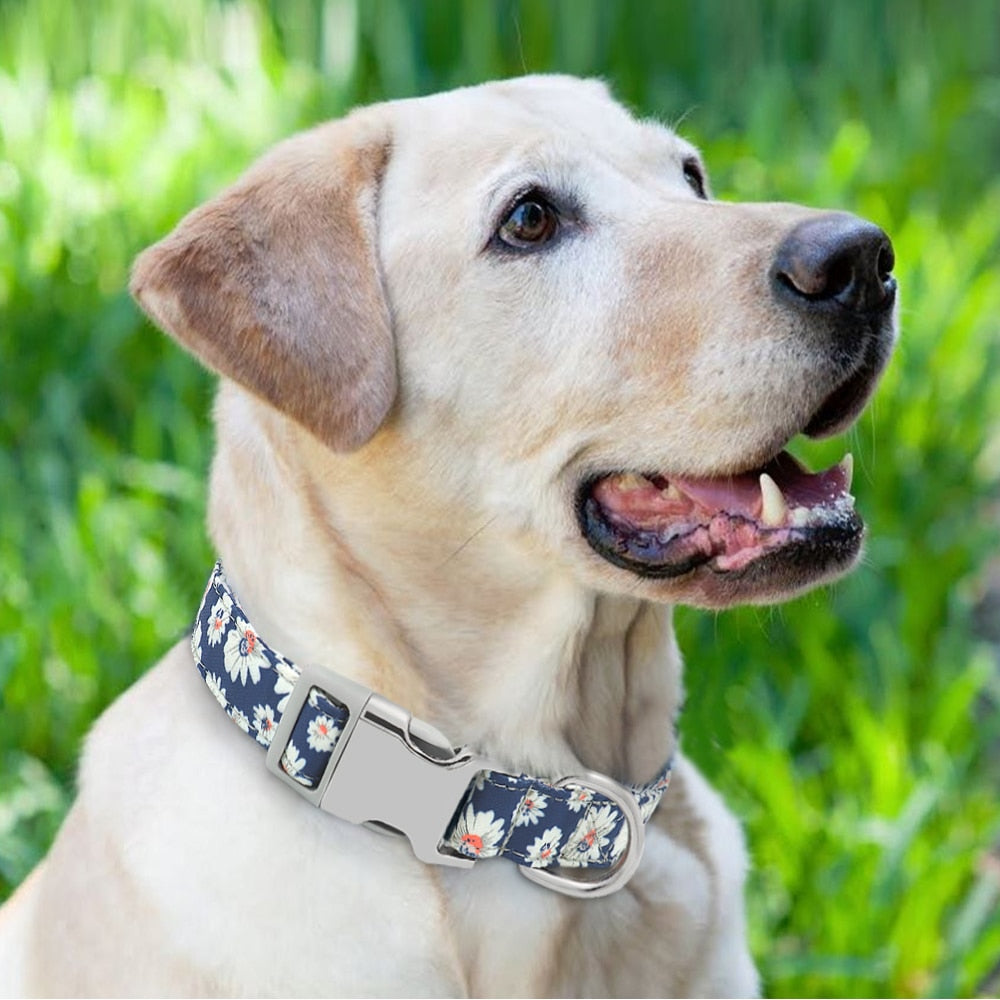 Collar de nailon con estampados personalizados para mascotas - Mascotalux