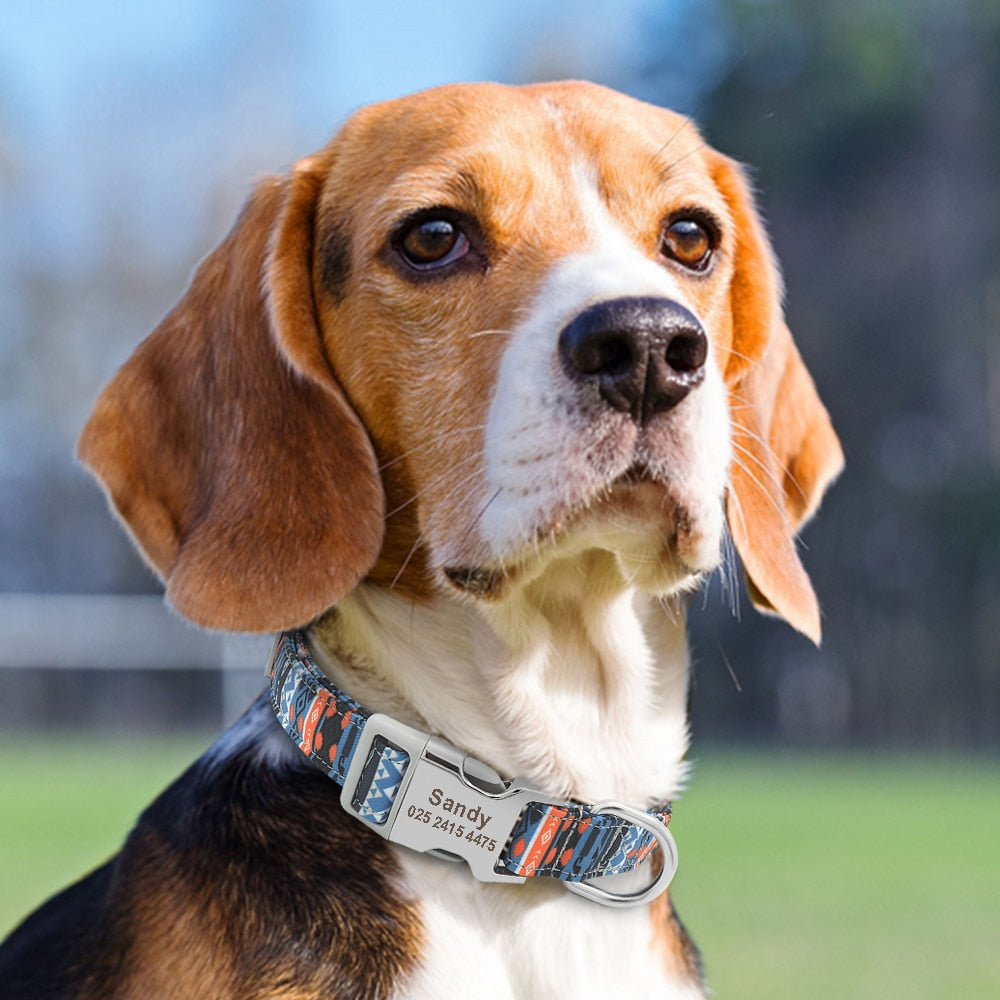 Collar de nailon con estampados personalizados para mascotas - Mascotalux