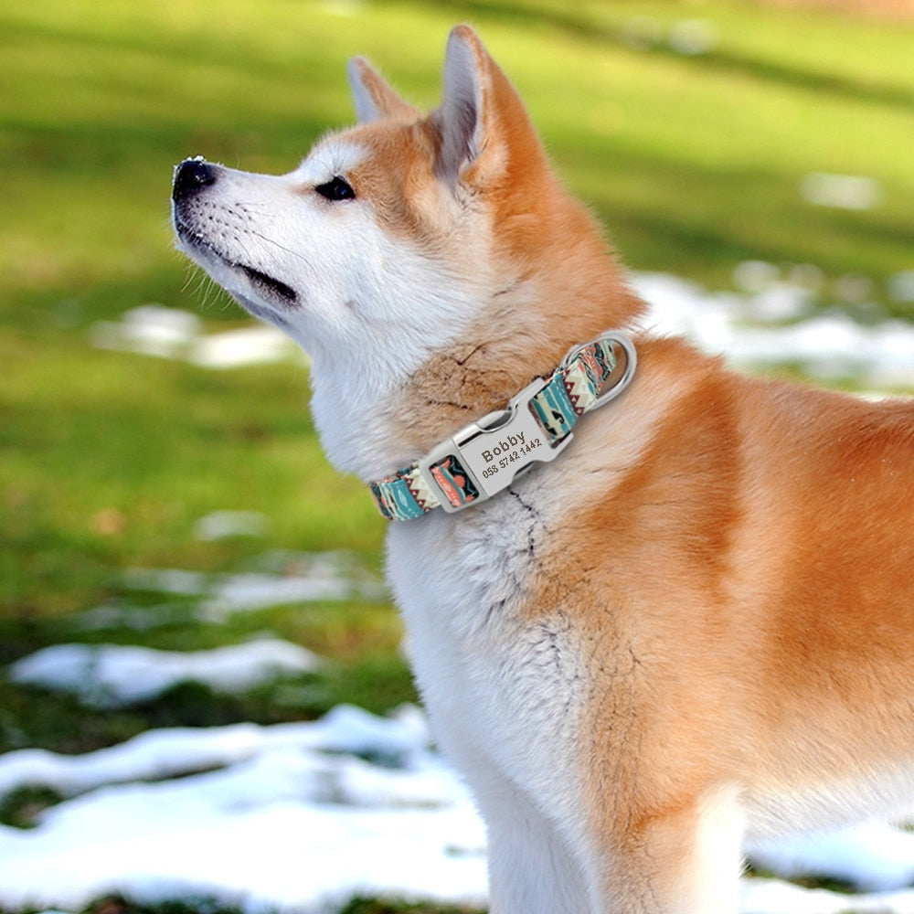 Collar de nailon con estampados personalizados para mascotas - Mascotalux