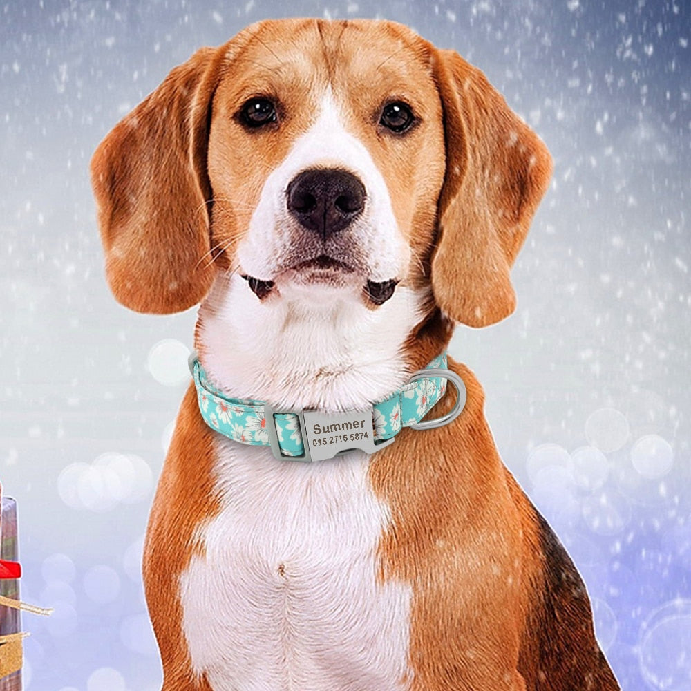 Collar de nailon con estampados personalizados para mascotas - Mascotalux