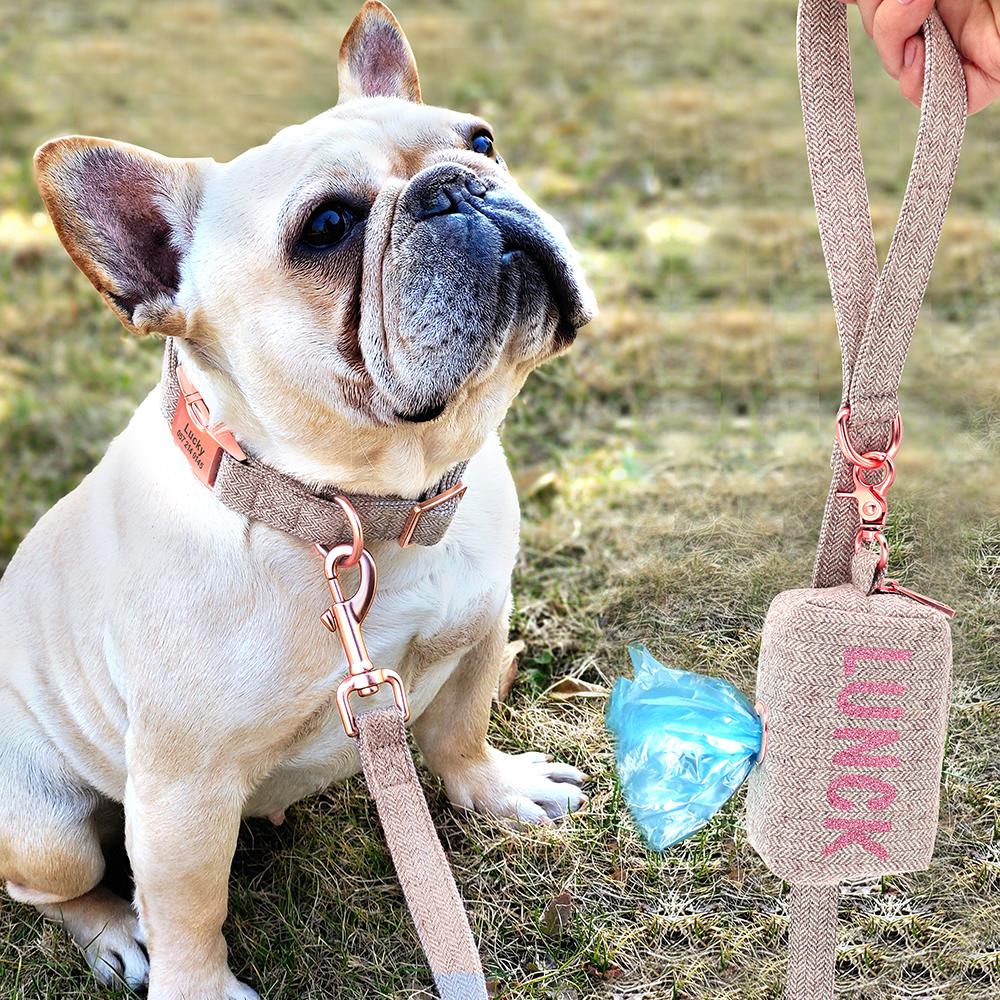 Conjunto de correa y collar personalizado+bolsa para popó de mascotas - Mascotalux