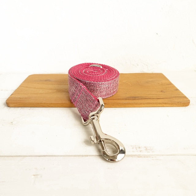 Collar personalizado para perro. Con placa de identificación y grabado gratis. - Mascotalux