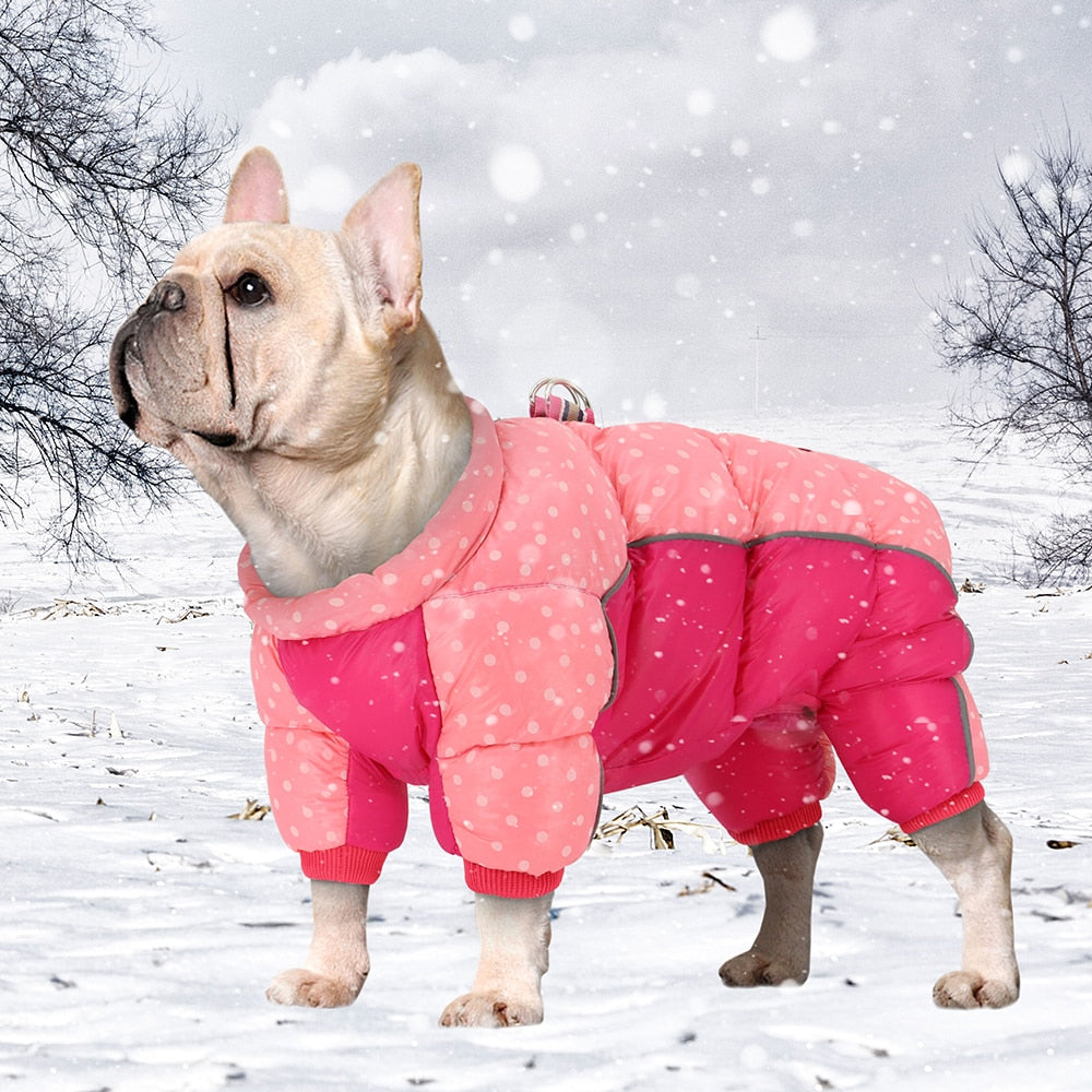 Caliente impermeable ropa de perro. Ropa de invierno para pequeño mediano grande perro. - Mascotalux