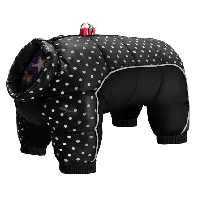 Caliente impermeable ropa de perro. Ropa de invierno para pequeño mediano grande perro. - Mascotalux