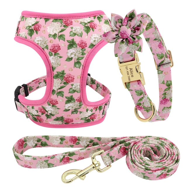 Arnés y correa para perro. Collar de perro personalizado. - Mascotalux