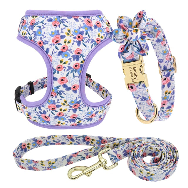 Arnés y correa para perro. Collar de perro personalizado. - Mascotalux