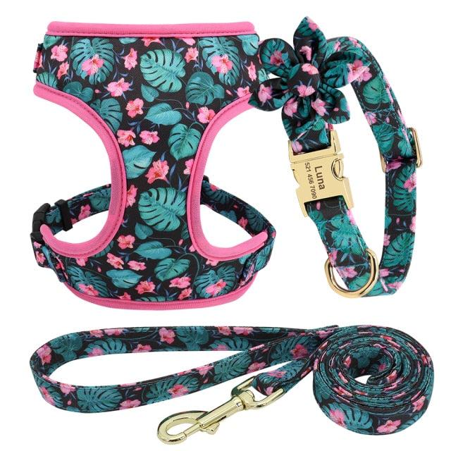 Arnés y correa para perro. Collar de perro personalizado. - Mascotalux