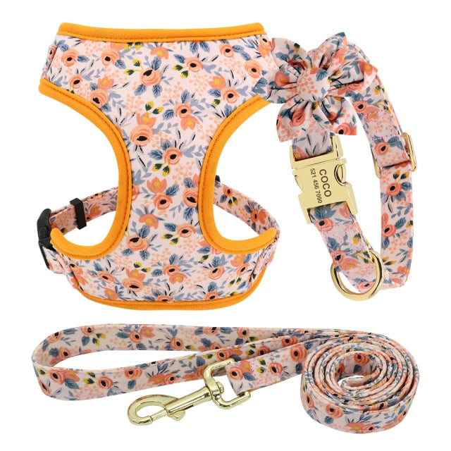 Arnés y correa para perro. Collar de perro personalizado. - Mascotalux