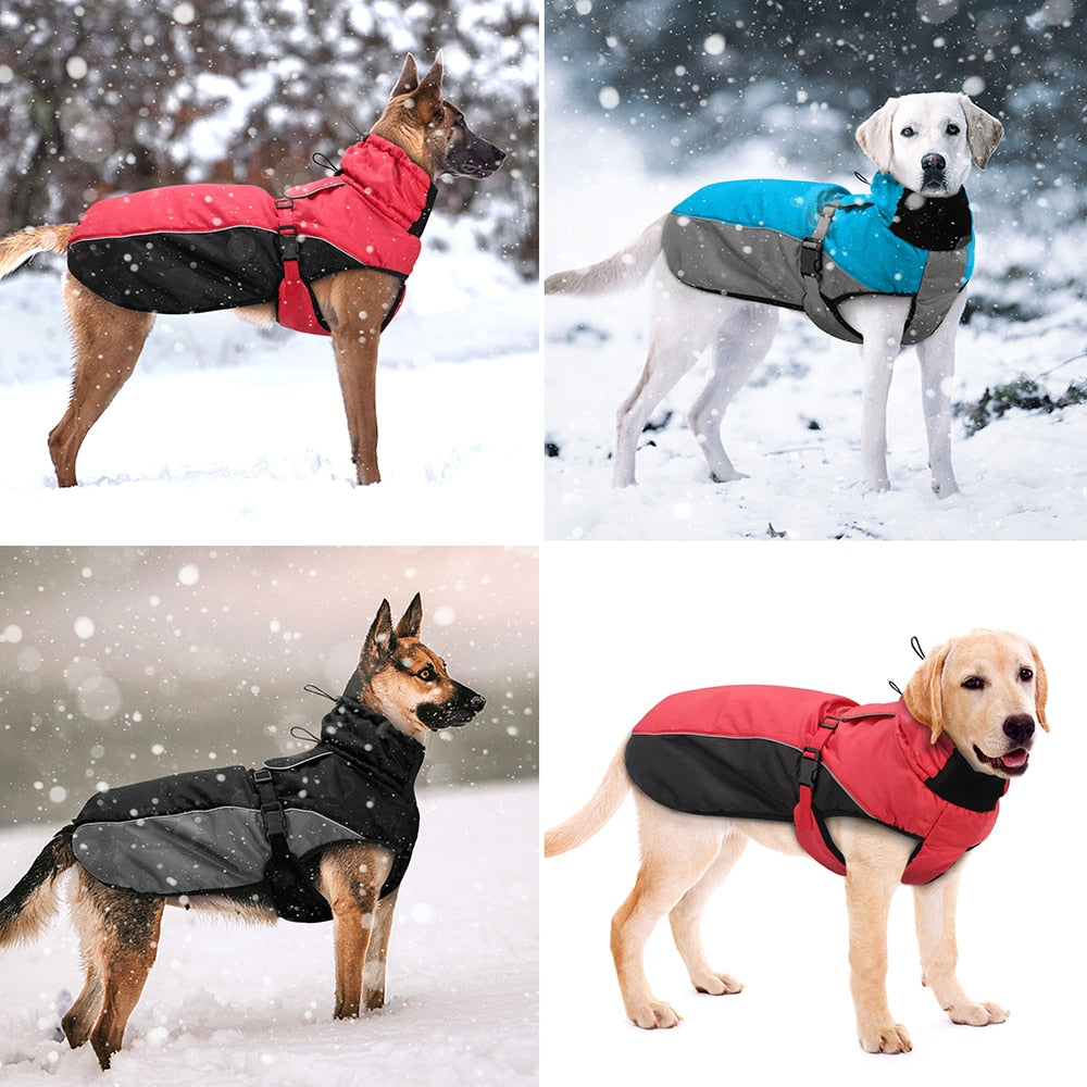Ropa impermeable para perro grande chaqueta reflectante. - Mascotalux