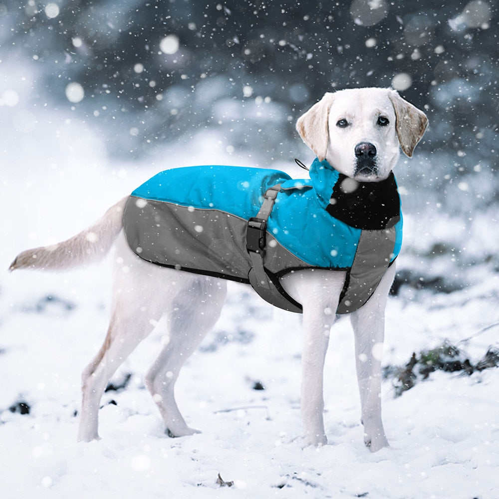 Ropa impermeable para perro grande chaqueta reflectante. - Mascotalux