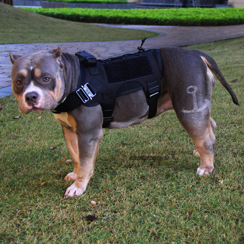 Chaleco táctico de nailon para perros, chaleco militar de caza y tiro para perros, chaleco Molle de entrenamiento Airsoft - Mascotalux