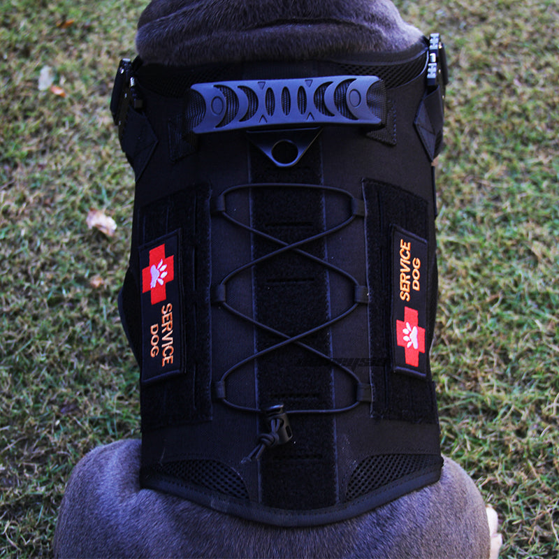 Chaleco táctico de nailon para perros, chaleco militar de caza y tiro para perros, chaleco Molle de entrenamiento Airsoft - Mascotalux
