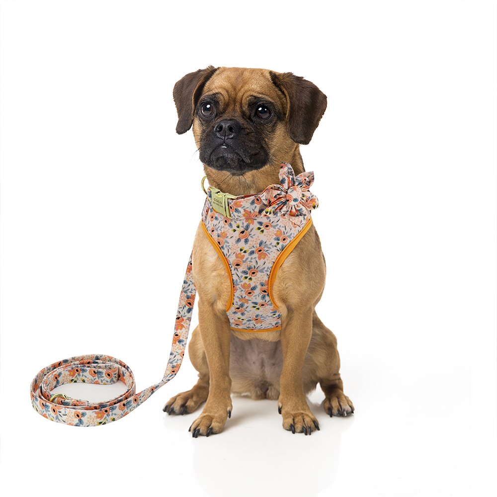 Personalizado collar de perro. Collar + correa + arnés + bolsa floral. Collar grabado. - Mascotalux