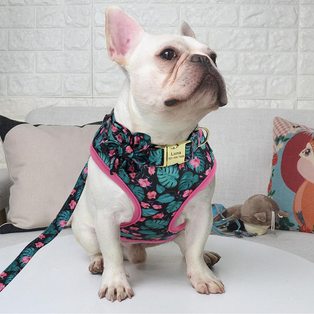 Personalizado collar de perro. Collar + correa + arnés + bolsa floral. Collar grabado. - Mascotalux
