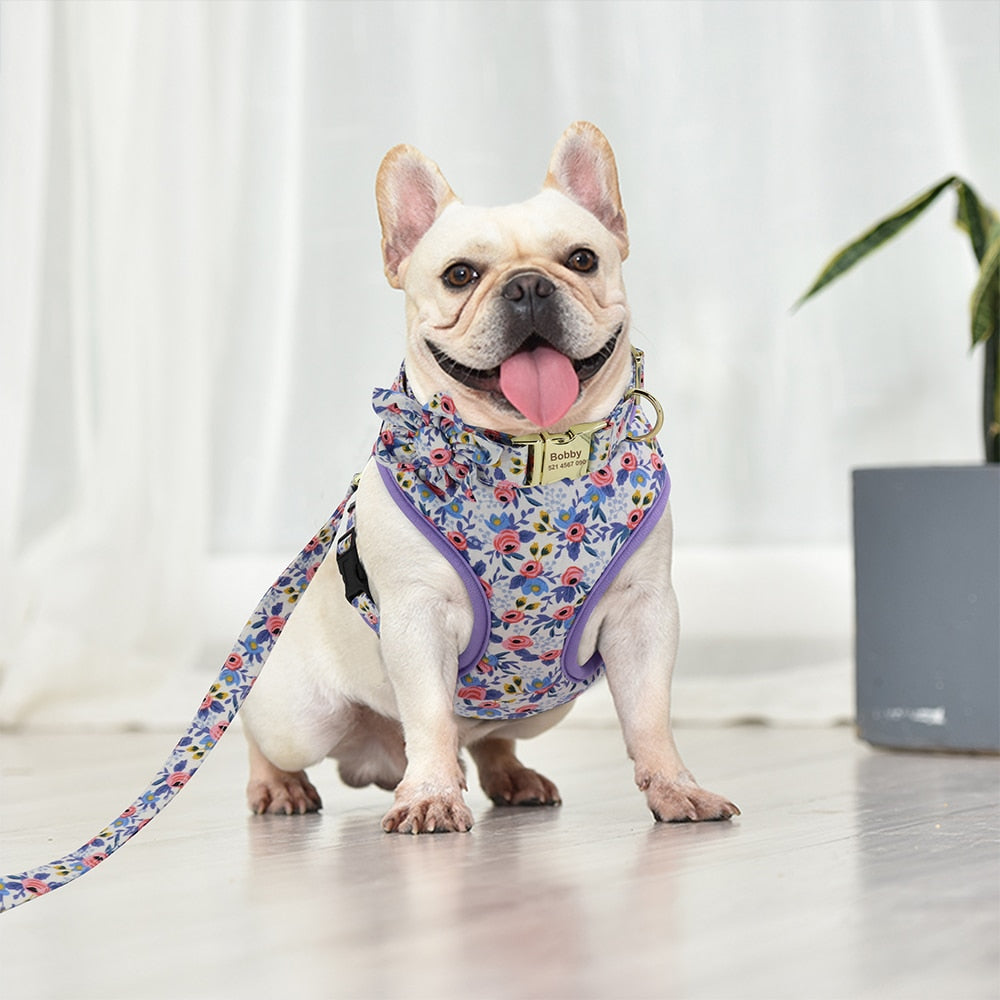 Personalizado collar de perro. Collar + correa + arnés + bolsa floral. Collar grabado. - Mascotalux