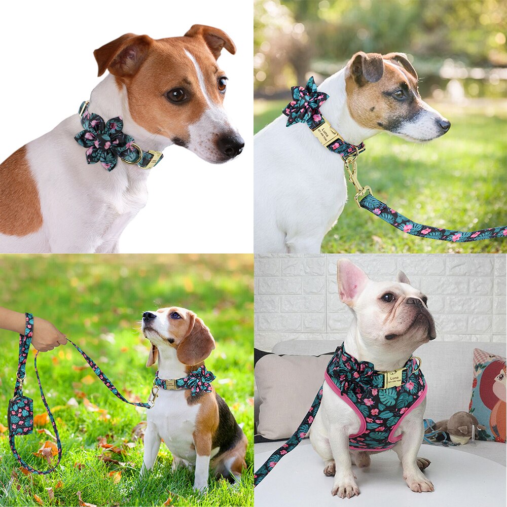 Personalizado collar de perro. Collar + correa + arnés + bolsa floral. Collar grabado. - Mascotalux