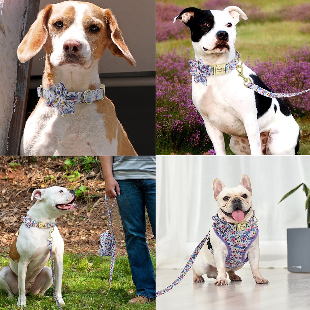 Personalizado collar de perro. Collar + correa + arnés + bolsa floral. Collar grabado. - Mascotalux