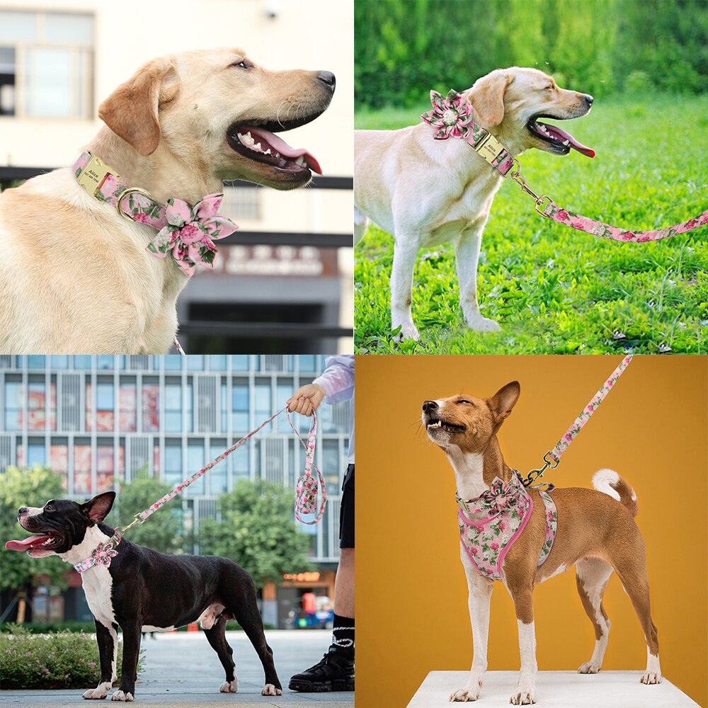 Personalizado collar de perro. Collar + correa + arnés + bolsa floral. Collar grabado. - Mascotalux