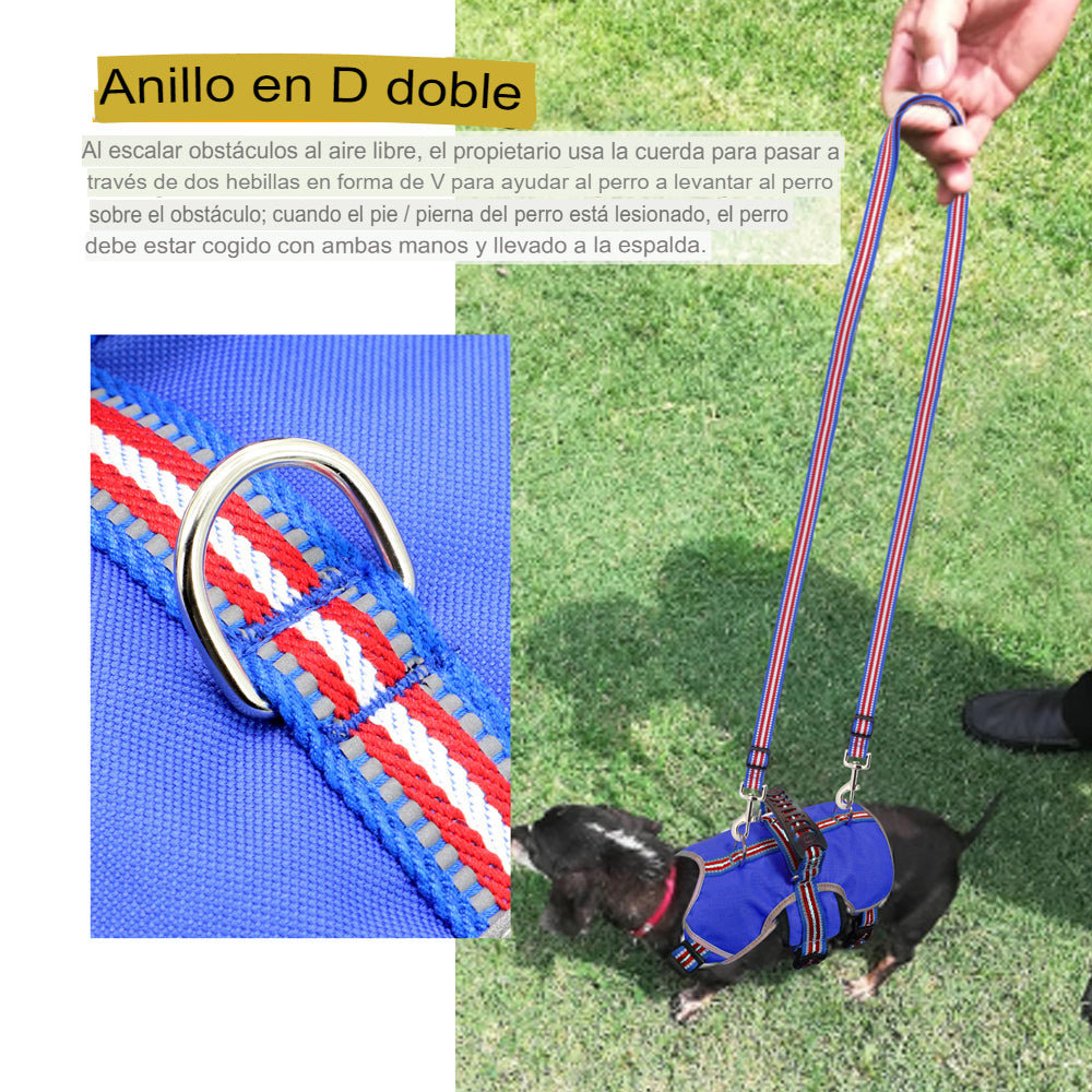 Descubre el Arnés Reflectante de Nailon para Perros Grandes: La Comodidad y Seguridad que tu Compañero Peludo Merece