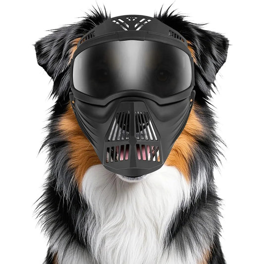 ¡Protege a tu perro con estilo y seguridad al aire libre! 🕶️🐶