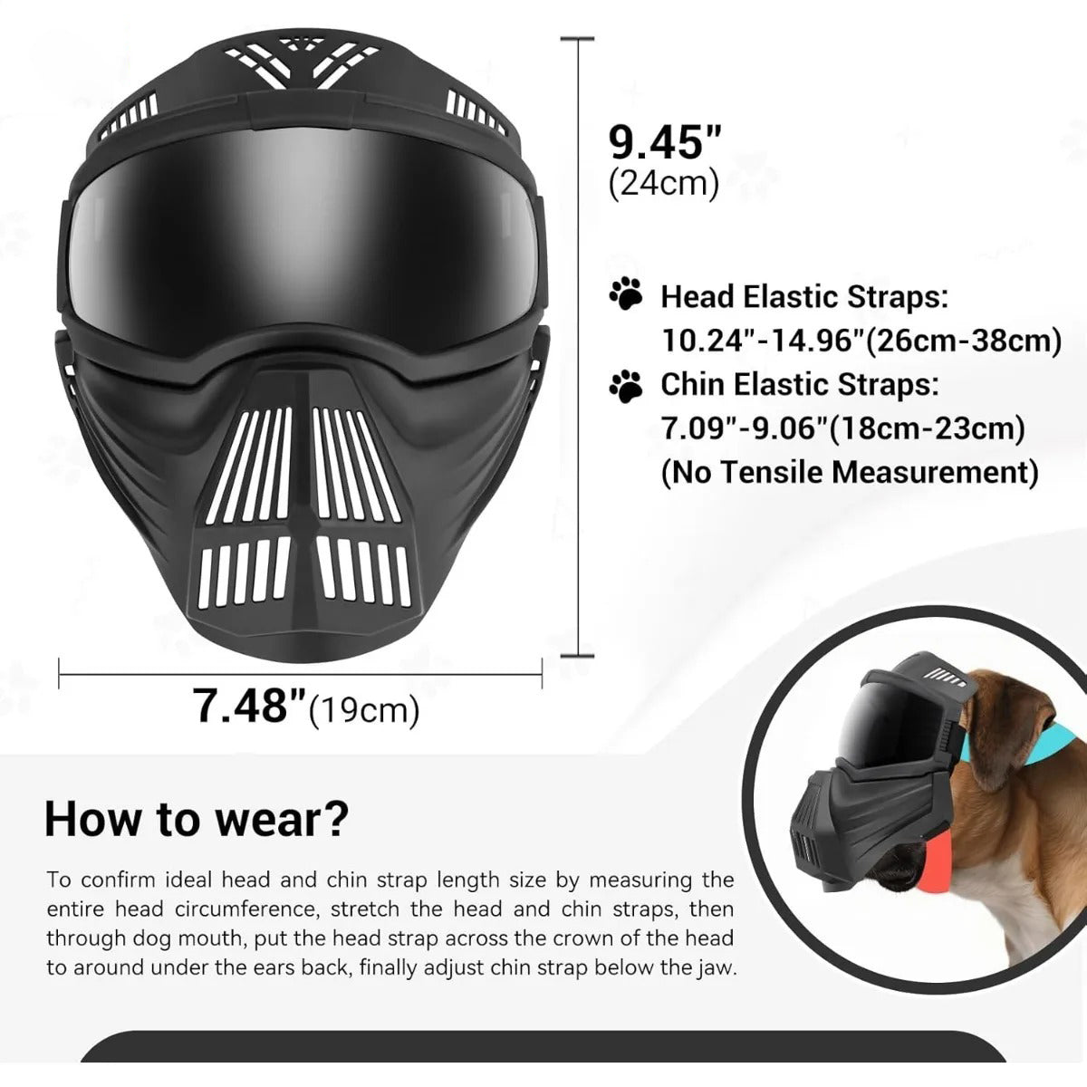 ¡Protege a tu perro con estilo y seguridad al aire libre! 🕶️🐶
