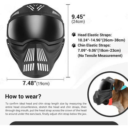 ¡Protege a tu perro con estilo y seguridad al aire libre! 🕶️🐶