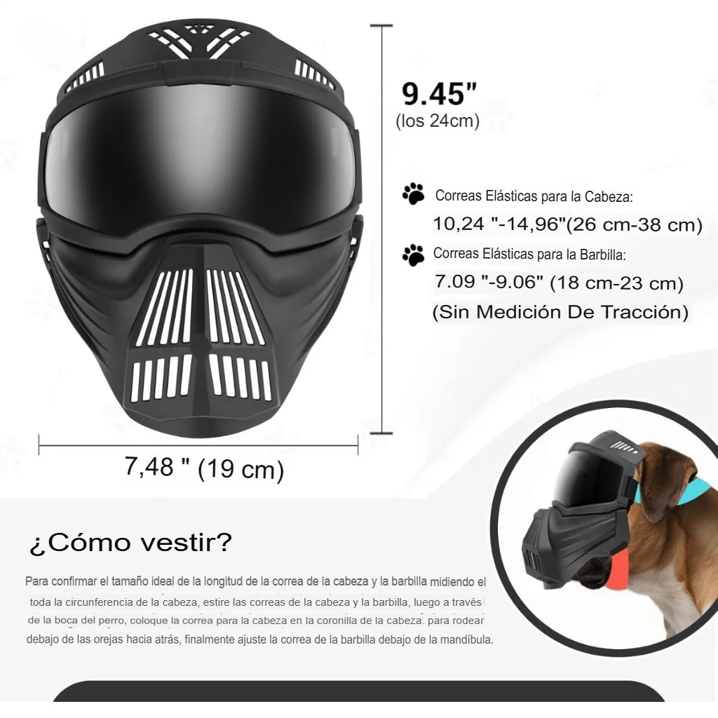 ¡Protege a tu perro con estilo y seguridad al aire libre! 🕶️🐶
