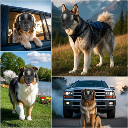 ¡Protege a tu perro con estilo y seguridad al aire libre! 🕶️🐶