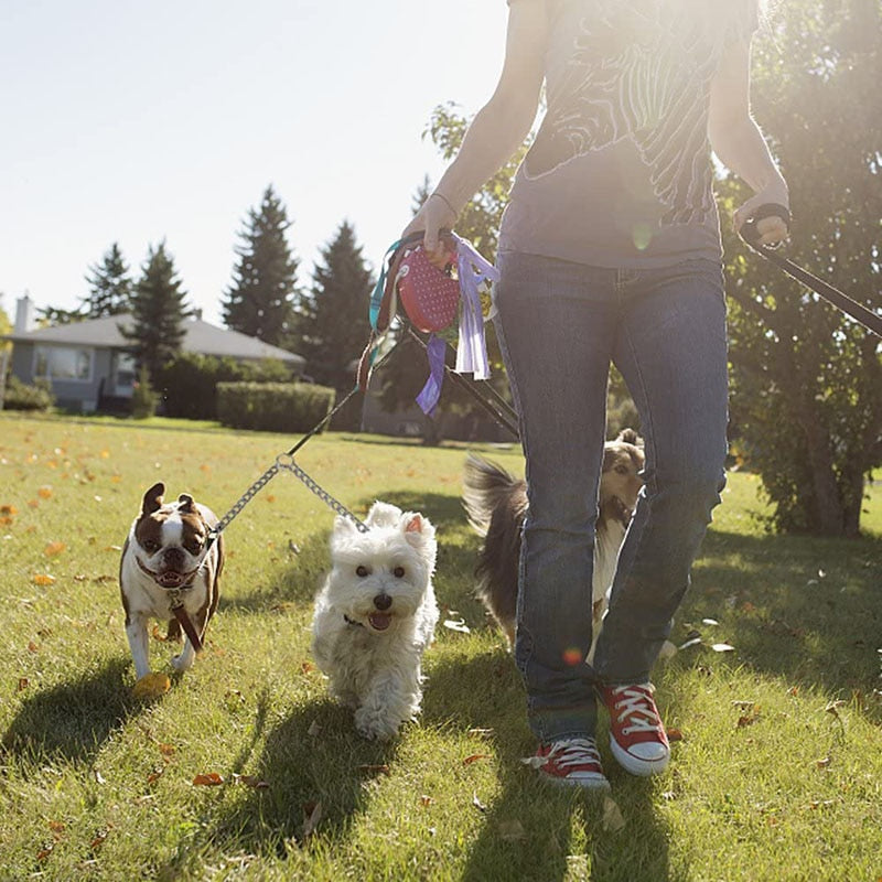 ¡Pasea a tus Peludos Compañeros con Estilo y Seguridad! Acoplador de Correa Doble de Metal para Perro, Divisor de Plomo a Prueba de Mordeduras sin Enredos