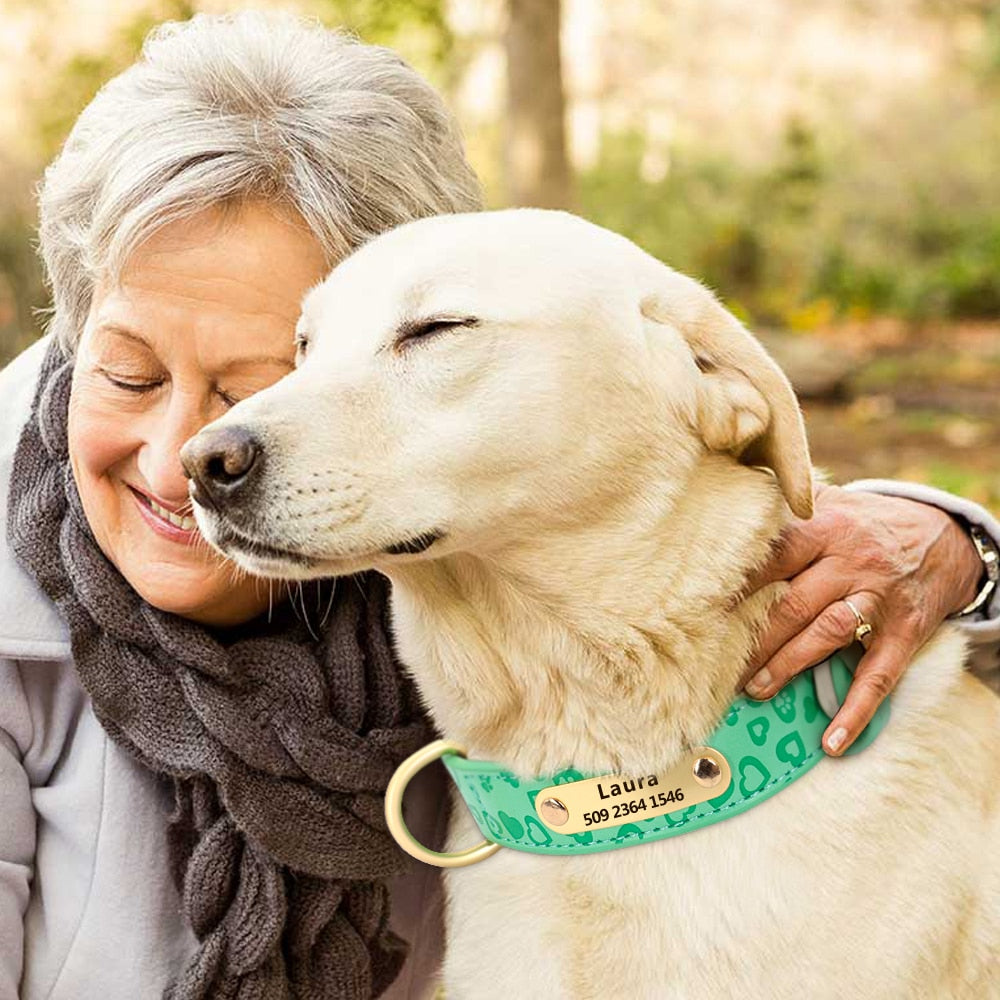 Collar de Cuero Suave para Perros: Estilo Personalizado que Hace Latir los Corazones Caninos y Eleva tus Expectativas de Moda Canina