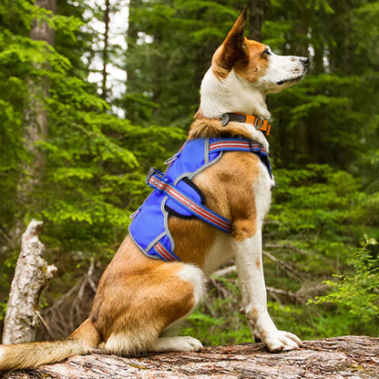 Descubre el Arnés Reflectante de Nailon para Perros Grandes: La Comodidad y Seguridad que tu Compañero Peludo Merece