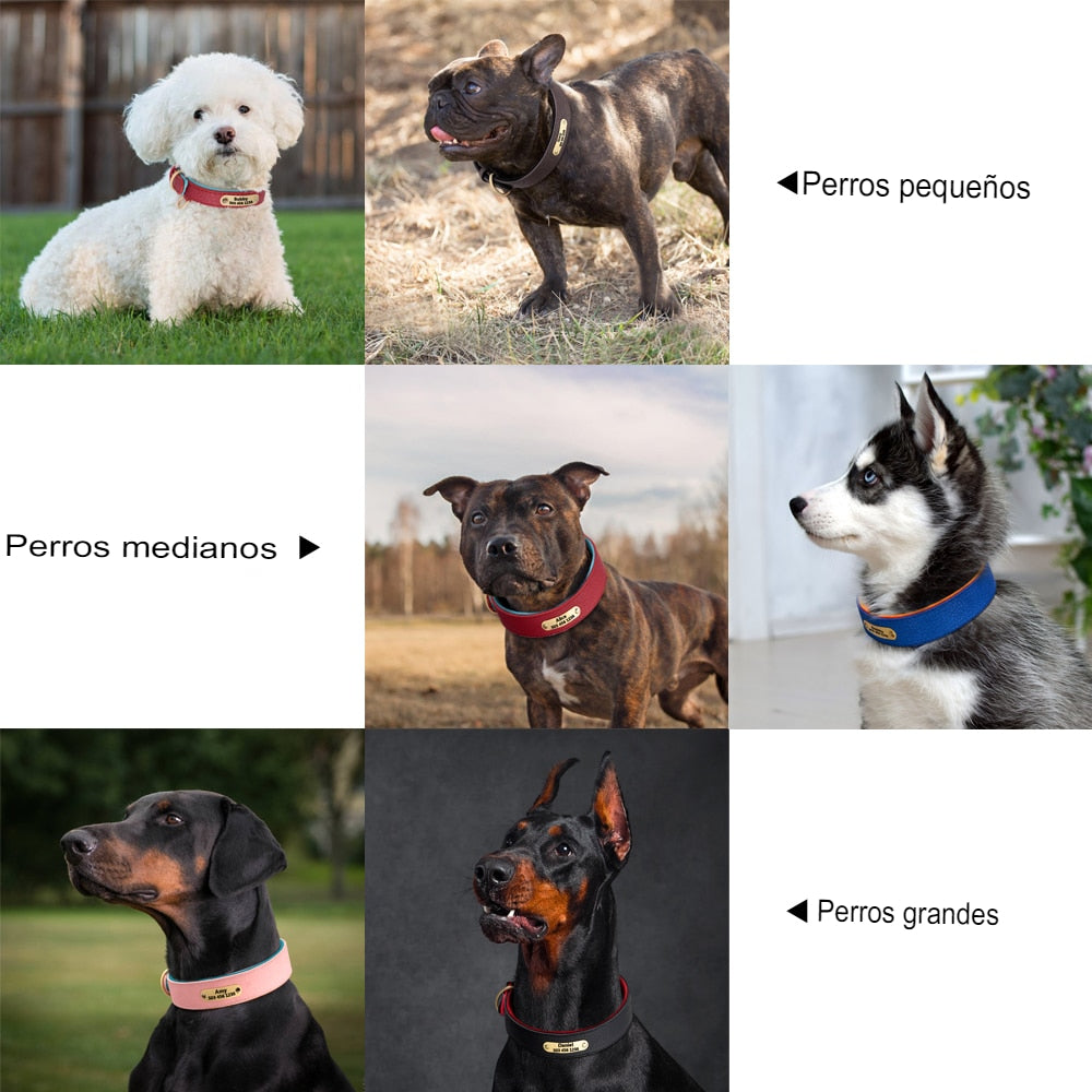 Collar con grabado personalizado para perro, acolchado de cuero, con placa de identificación personalizada, 2 capas, para perros pequeños y grandes, Pitbull