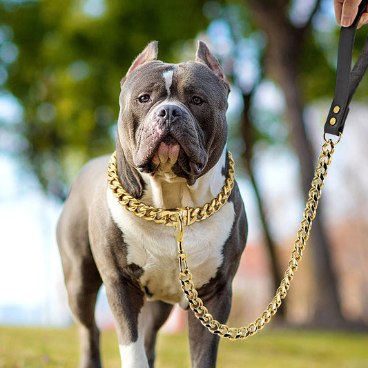 Collar y Correa de Cadena de Acero Inoxidable para Perro: La Elegancia y Durabilidad que tu Mascota Merece