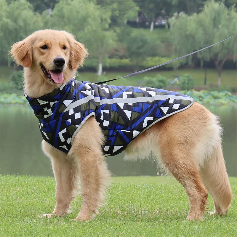 Abrigo impermeable para perros grandes: calidez y diseño único