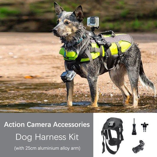 🎥 Convierte a tu perro en el camarógrafo más adorable del mundo 🐶📸