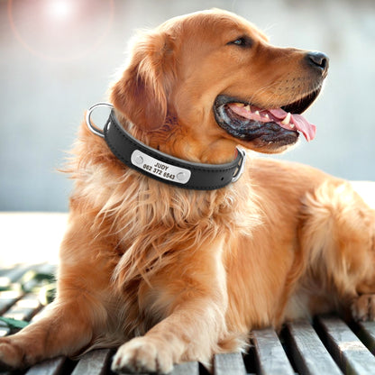 Collar para perros personalizado, accesorio para mascotas de piel sintética.