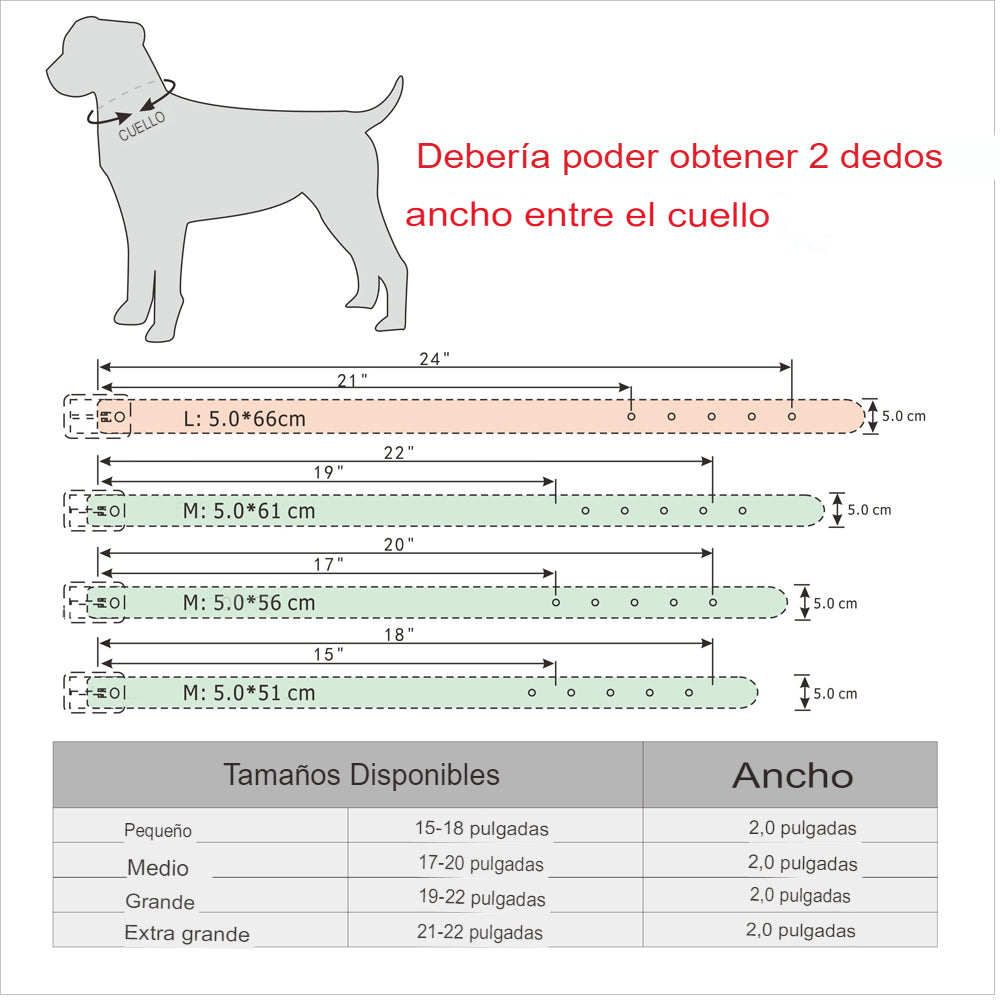 Collar de perro Bulldog grande ajustable para perros medianos grandes bóxer s, m, l, xl