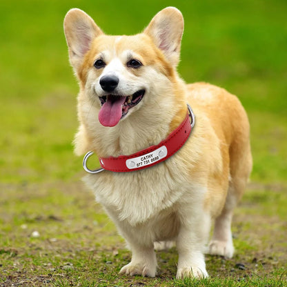 Collar para perros personalizado, accesorio para mascotas de piel sintética.