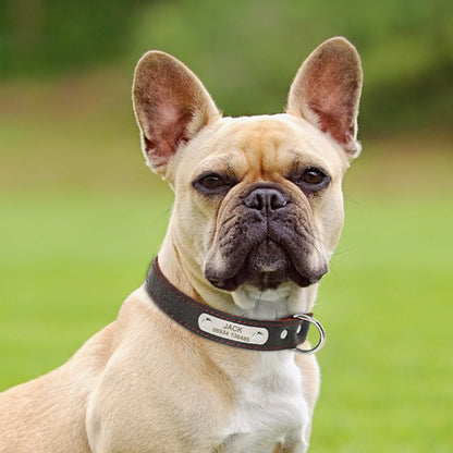 Collar personalizado de piel auténtica para perro, correa ajustable con grabado de identificación.