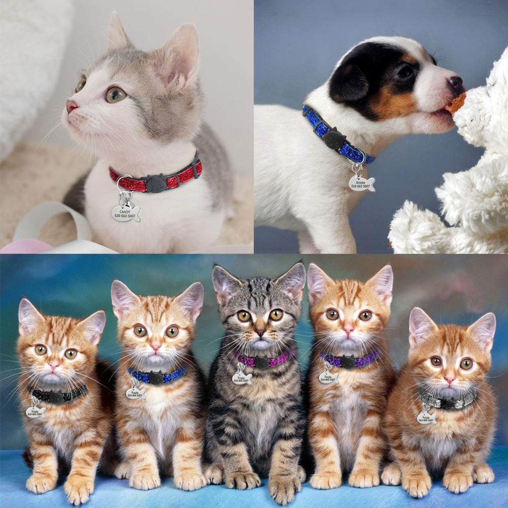 Collar de seguridad para gatos, Collar personalizado de liberación rápida con campana para gatitos y cachorros