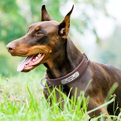 Collar para perros personalizado, accesorio para mascotas de piel sintética.