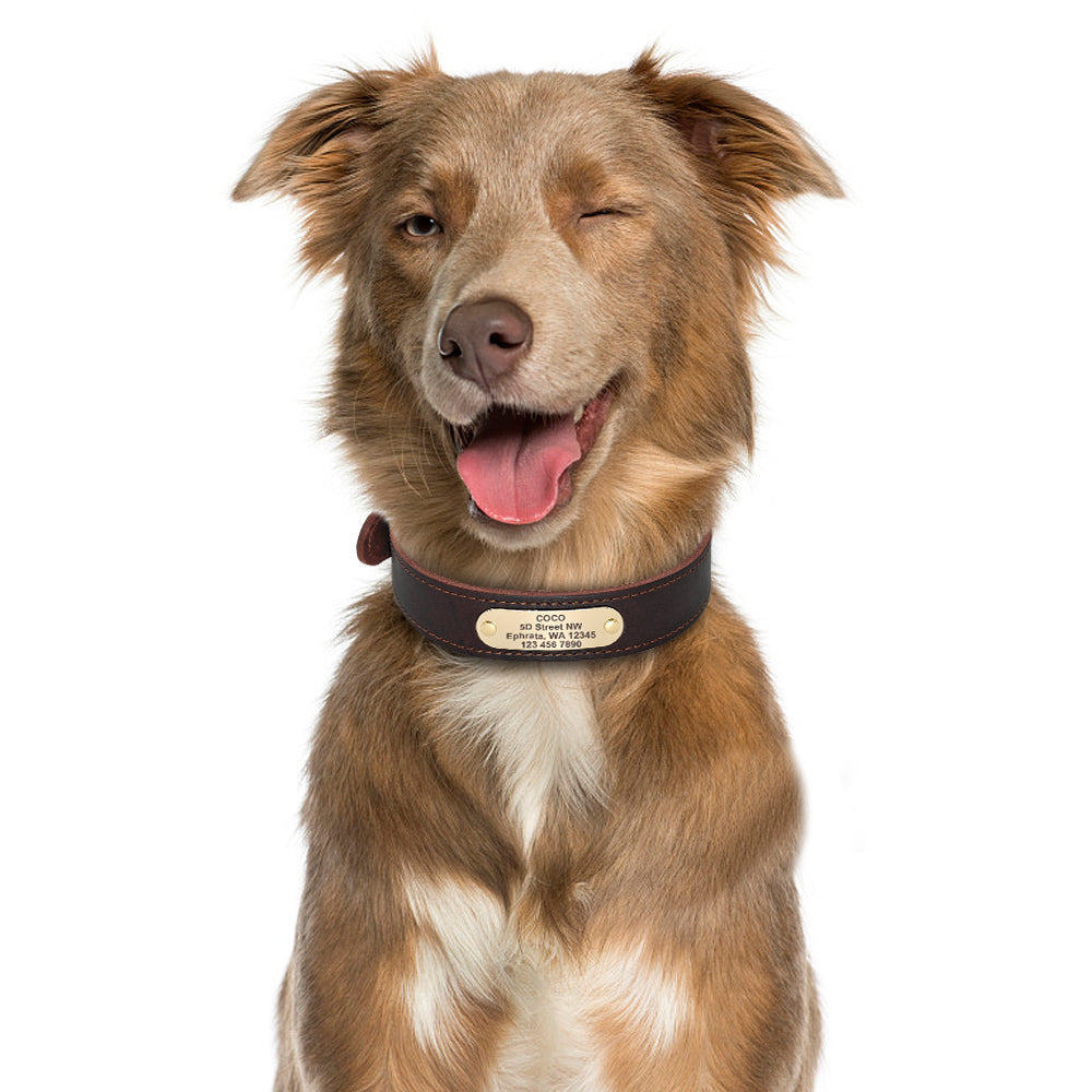 Collar de piel auténtica para perro, placa personalizada con el nombre del perro.