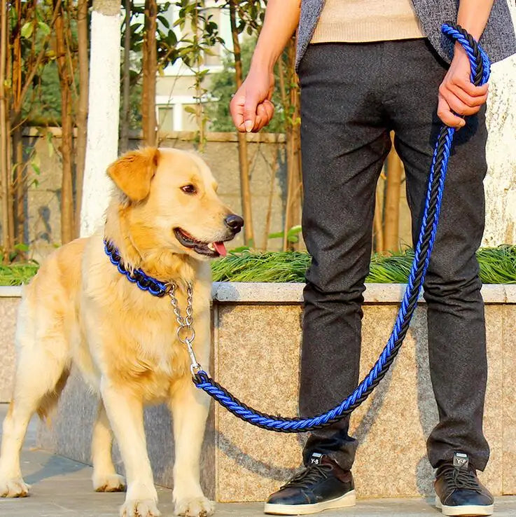 La Correa Perfecta para tu Perro: Seguridad y Estilo en Cada Paseo