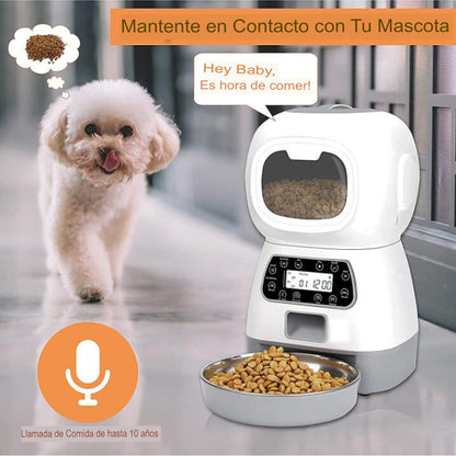 Alimentador automático para gatos y perros, dispensador de comida inteligente.