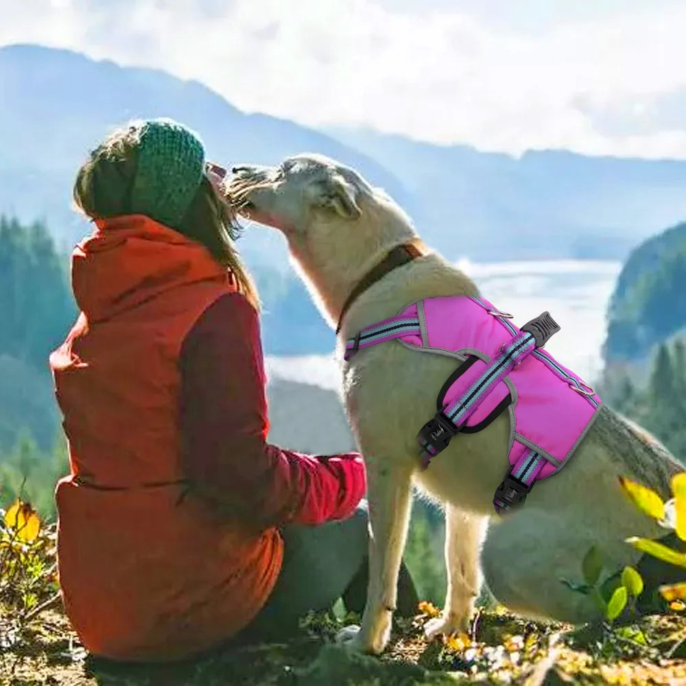 Descubre el Arnés Reflectante de Nailon para Perros Grandes: La Comodidad y Seguridad que tu Compañero Peludo Merece