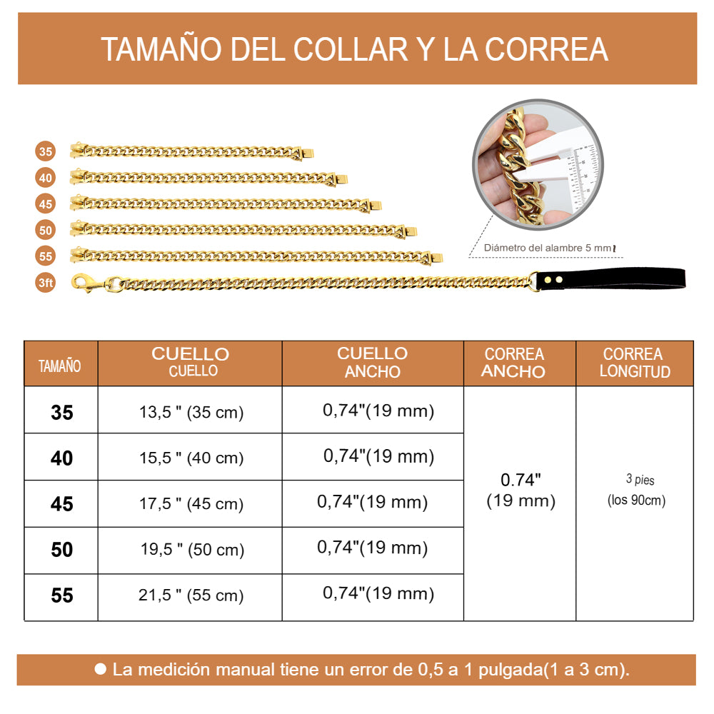 Collar y Correa de Cadena de Acero Inoxidable para Perro: La Elegancia y Durabilidad que tu Mascota Merece