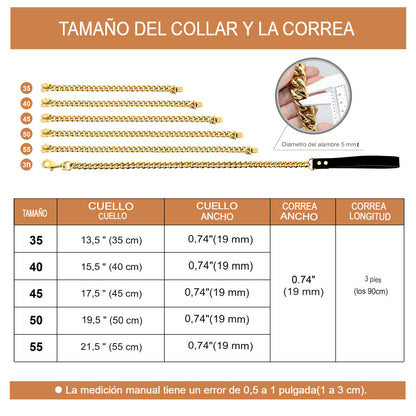 Collar y Correa de Cadena de Acero Inoxidable para Perro: La Elegancia y Durabilidad que tu Mascota Merece