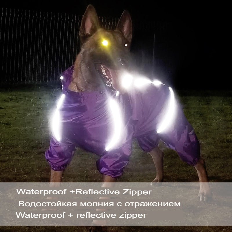Chubasquero reflectante para perro, ropa impermeable con cremallera.