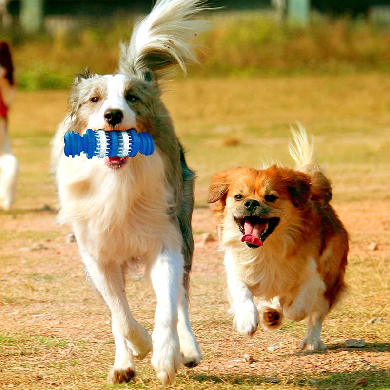 Juguetes Indestructibles Benepaw: Resistencia y Salud Dental para Perros