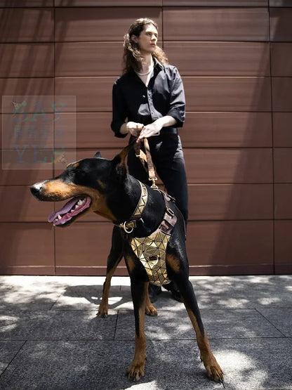 ¡Deslumbra con Elegancia! Arnés para Perro con Lentejuelas y Collar Brillante